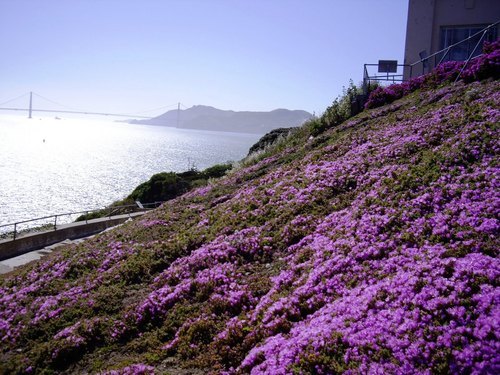 ky08120901's profile picture. 