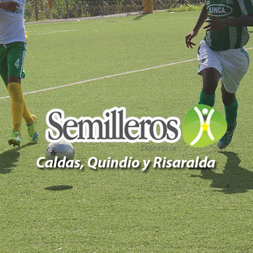 SemillerosDeportivos