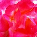 Ping LI - @beidalp - Twitter