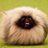 Chrisphill71's profile image