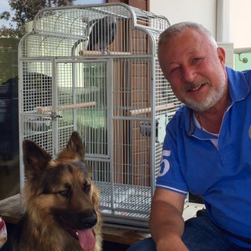 pgerrard23's profile picture. Johnny tu restera immortel a nos vies