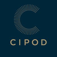 CIPOD(@cipodcinema) 's Twitter Profile Photo