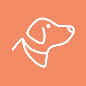 Discover the best dog-friendly tech companies.