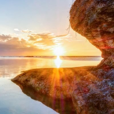 maximilian138's profile picture. 