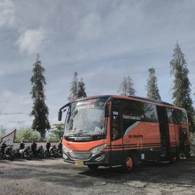 Bus Pariwisata Riau PT Ardifa Wisata Bedelau Sewa Hiace 12-14 seat, Medium Bus 31-33 Seater dan Big Bus 40-47 seat. Telp/Wa 085375837929