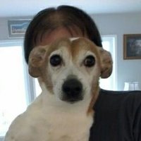 PUPPYthedogfaceBOY (@kroekertony) 's Twitter Profile Photo PUPPYthedogfaceBOY (@kroekertony) 's Twitter Profile Photo