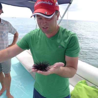 Paul Bateman Profile