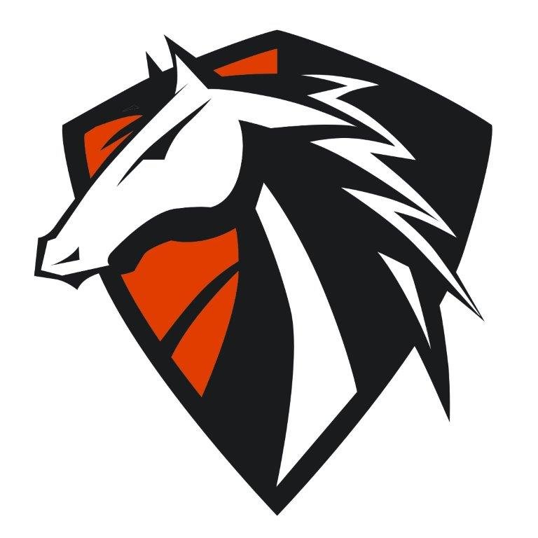 StanfordGGUSD's profile picture. Welcome to Stanford Elementary School in the Garden Grove Unified School District!  Home of the Stallions!