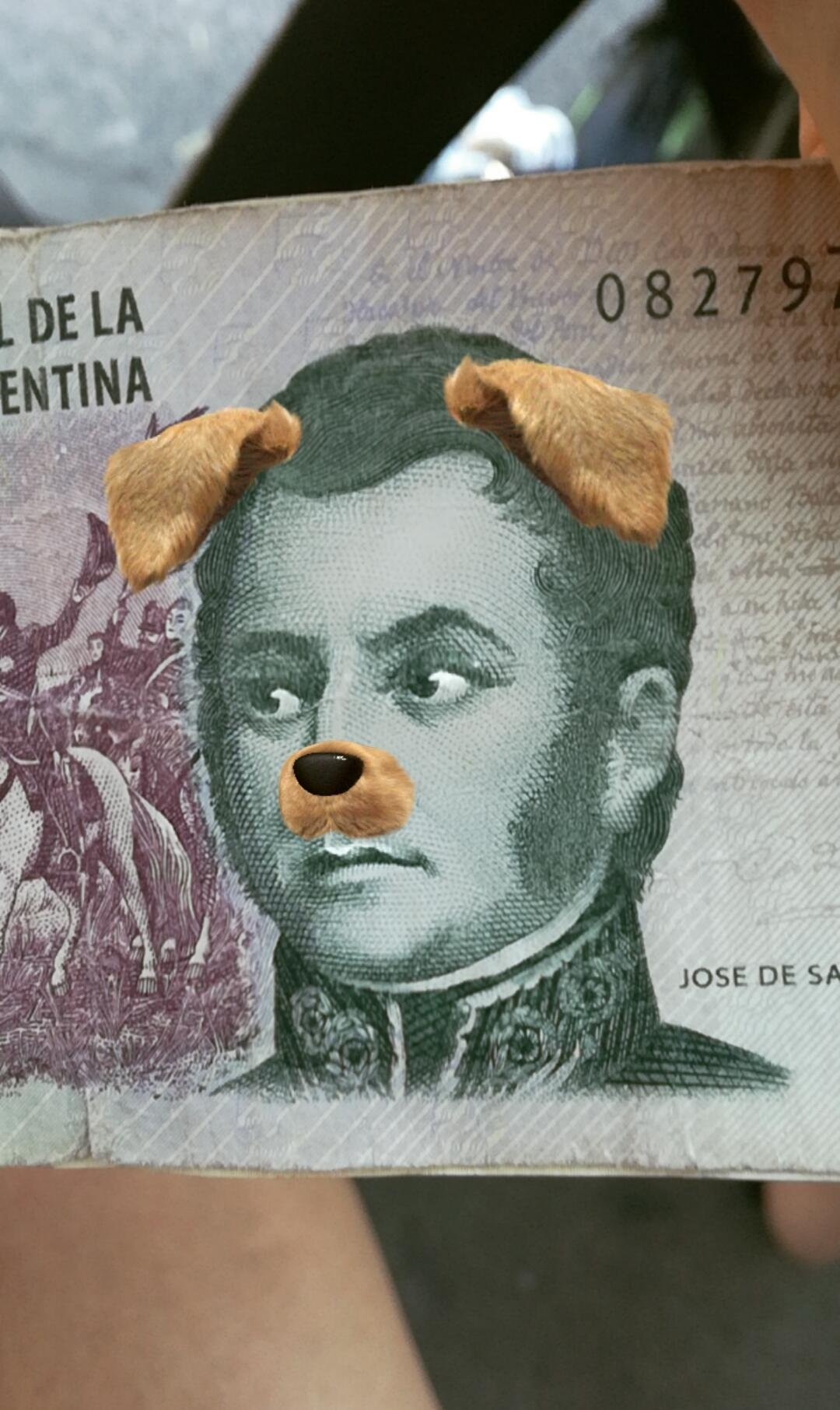 TiagoDF2001's profile picture. 