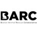 Boston Animal Rescue Collaborative (@barcboston) Twitter profile photo Boston Animal Rescue Collaborative (@barcboston) Twitter profile photo