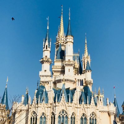 noa____08's profile picture. 学生は、今だけ。 大学は卒業する。 T.P.O 難しくない！考えすぎない！