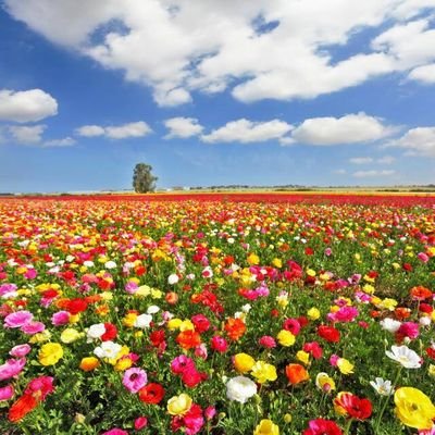 Mohamad09685655's profile picture. 