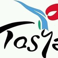 Mert lgbt (@tosyamert) Twitter profile photo