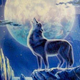 ダラダラ生きてます。
ぽっちゃり〜みけぽさんが大好きな40オス。周囲からデブ専と言われ全く理解されてない人。本当に理解されないんです(切実)婚活から逃亡中。
