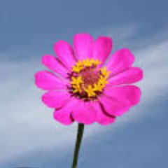 happychan824's profile picture. 