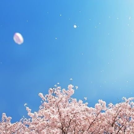 美咲さんのプロフィール画像