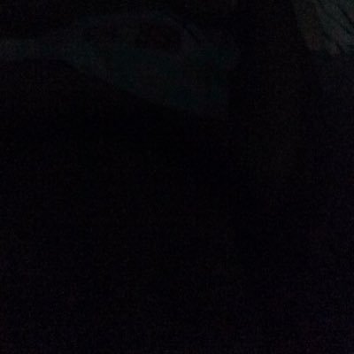 betbepor's profile picture. 