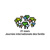 Journée internationale des forêts(@JIF_France) 's Twitter Profile Photo
