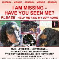 FindLucky (@helpfindlucky) 's Twitter Profile