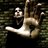 sujit121's profile image