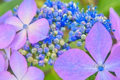 1lW3rxui7so3TO1's profile picture. 静商　3年