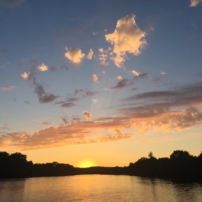 NeerajPoorva's profile picture. Creative Explorer