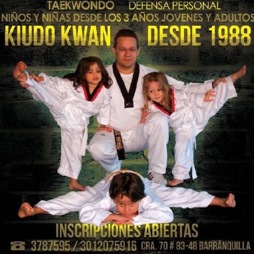 ARTES MARCIALES Taekwondo, Hapkido, Tai Chi Y SISTEMAS DE DEFENSA PERSONAL Krav Maga - S.I.D.P.  Tel:3787595 Cel: 301 2075916 Barranquilla