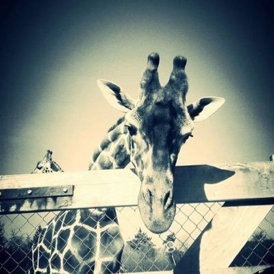 FmUXNyOCTr1VYDl's profile picture. 手が常にカサついてる。