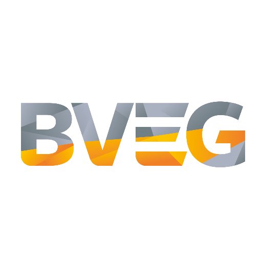 BVEG_de Profile Picture