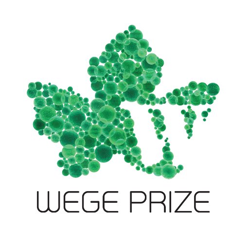 WegePrize Profile Picture