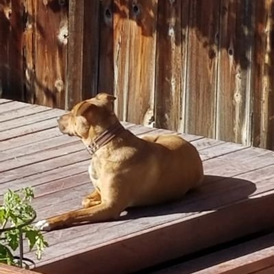 gatorkjh6's profile picture. Retired (kinda) • #2A • 5⭐ Home Chef • *Squinter* • Your Loss Is NOT My Gain