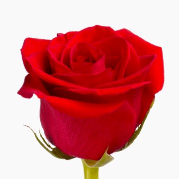 Armoniadelalma's profile picture. 
