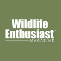 We are a new platform for connecting #women of all ages & walks of life to share stories & other info about #hunting, #fishing, #wildlife & the #greatoutdoors!