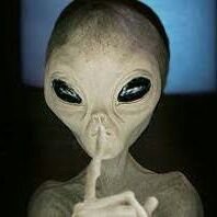 gnomo133gab7's profile picture. Pagina de entretenimento vulgo memes sobre diversos assuntos.