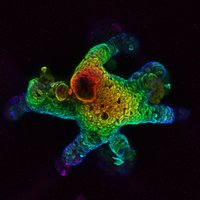 Dow Lab (@dow_lab) 's Twitter Profile Photo Dow Lab (@dow_lab) 's Twitter Profile Photo