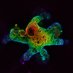 Dow Lab (@dow_lab) Twitter profile photo Dow Lab (@dow_lab) Twitter profile photo