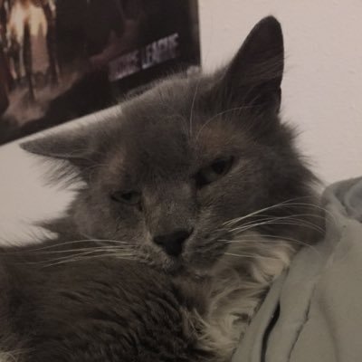 Gavster_'s profile picture. garbage