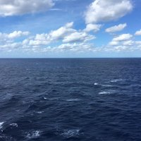 Kevin J Foster (@kevinjfoster80) 's Twitter Profile