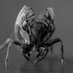 Big They, Inc. (@bigtheyinc) Twitter profile photo Big They, Inc. (@bigtheyinc) Twitter profile photo