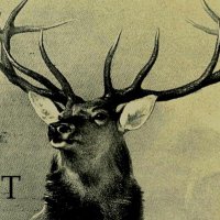 Juliet Delta (@julietdeltapodc) 's Twitter Profile