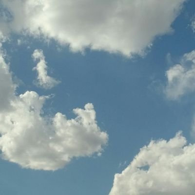 f_nk444's profile picture. 