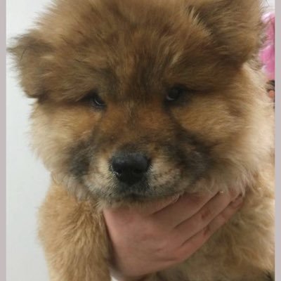 lover6273's profile picture. I want to drop everything and just travel the world with someone who wants to just as much as i do