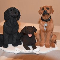 Freya & Zeus. RIP Bonnie 2009-2023 🌈 (@the3furbabes) 's Twitter Profile