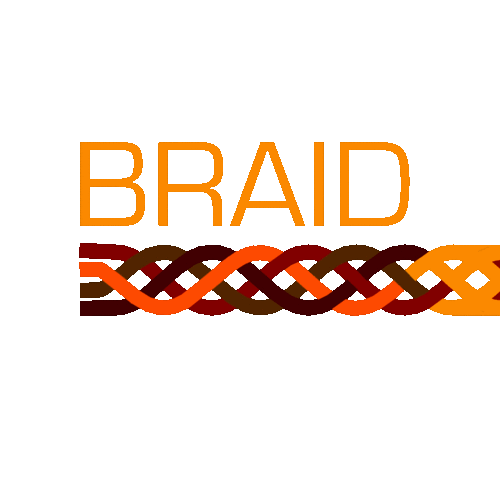 braidproject's profile picture. BRAID is funded within the specific programme Cooperation and the research theme ICT of the 7th European Framework Programme.