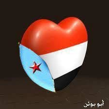 AliAhme11343576's profile picture. 