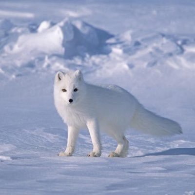 yandreszabala's profile picture. 