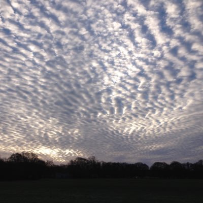 TootingCommMAC's profile picture. The Tooting Commons Management Advisory Committee.