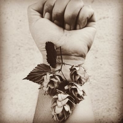 pazzcerveza's profile picture. #homebrew
#vregion
#chile
#nocatador
#cerveza_ranokau
#hopshead