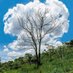 Amazing Natures. (@lovingnatures) Twitter profile photo Amazing Natures. (@lovingnatures) Twitter profile photo