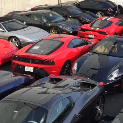 SeahawksFan76's profile picture. 